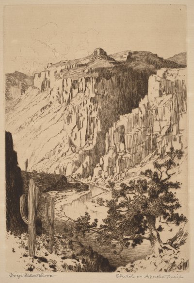  作： George Elbert Burr