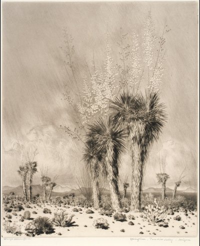  作： George Elbert Burr