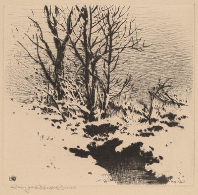 初雪 (no.2) 作： George Elbert Burr