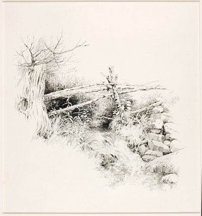 無題（森の小川） 作： George Elbert Burr