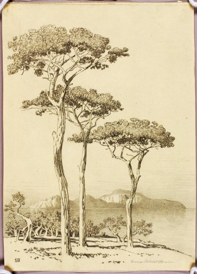  作： George Elbert Burr
