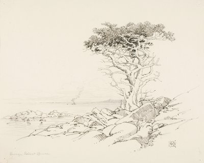 無題 作： George Elbert Burr