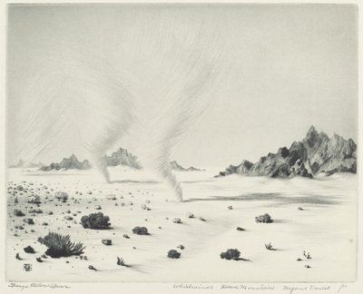 旋風、デッド マウンテンズ、モハベ砂漠、カリフォルニア州 作： George Elbert Burr