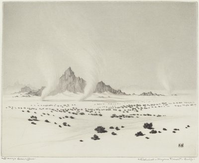 ワールウィンズ、モハベ砂漠、カリフォルニア (no.3) 作： George Elbert Burr