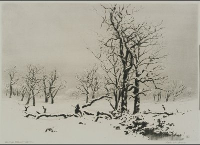  作： George Elbert Burr