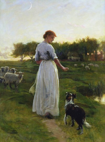 不明な画像 作： George Faulkner Wetherbee