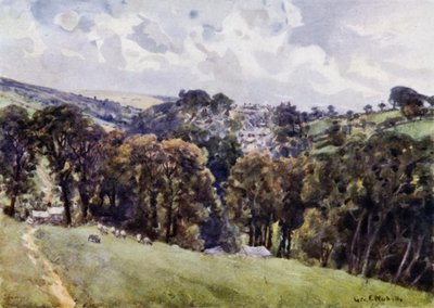 Camelford（カラーリトグラフ 作： George Franck Nicholls