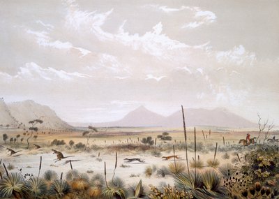 「サウスオーストラリアイラストレイテッド」のポートリンカーン近くのカンガルーハンティング、1847年発行（手書きの彫刻） 作： George French Angas