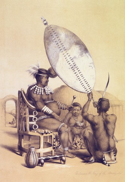 天国の王の根、1849 作： George French Angas