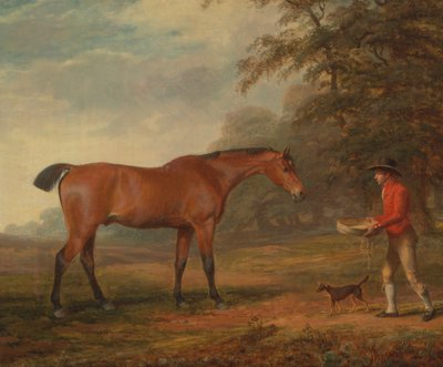 餌とホルターを持った厩舎の若者が接近する湾の馬 作： George Garrard