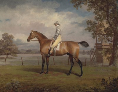 競走馬の肖像、おそらく変装、ハミルトン公の所有物、ジョッキーアップ 作： George Garrard