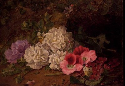 AB/52 Still Life with Butterflies 作： George Goodman