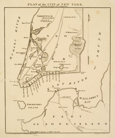 1856年に作られた[原文のまま]と沼地を示すニューヨーク市の計画（紙に黒インク） 作： George Hayward