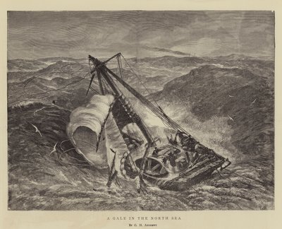 北海の強風 作： George Henry Andrews