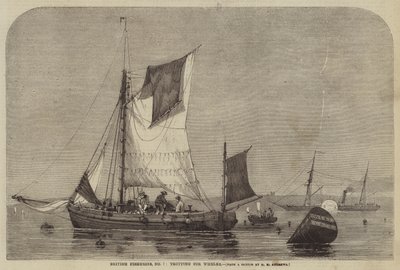 英国漁業、No。7、Whelksを駆け巡る 作： George Henry Andrews