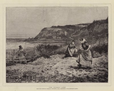 未亡人のエーカー 作： George Henry Boughton
