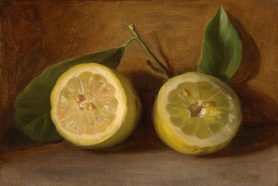  作： George Henry Hall