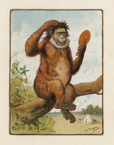 猿（カラーリトグラフ） 作： George Henry Thompson