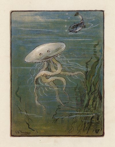 クラゲ（カラーリトグラフ） 作： George Henry Thompson