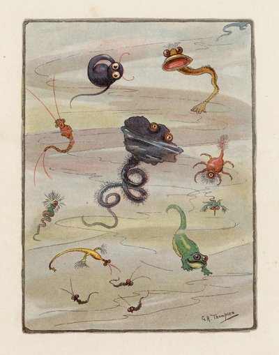 微生物（カラーリトグラフ） 作： George Henry Thompson