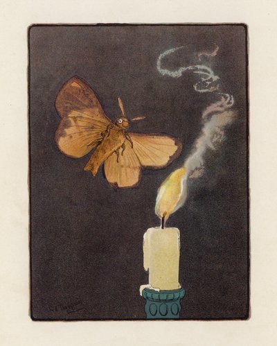 蛾（カラーリトグラフ） 作： George Henry Thompson