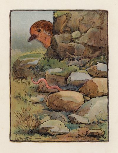 ワーム（カラーリトグラフ） 作： George Henry Thompson