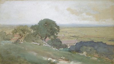 チボリのオリーブの木、1873年。 作： George Inness