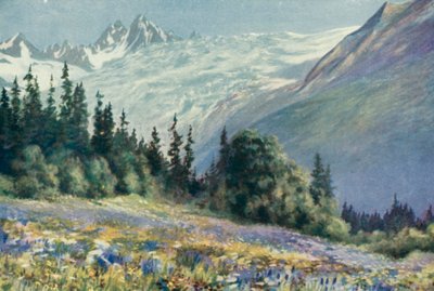 コル・ドゥ・モンテに咲くカンパニュラと7月の花々（カラーリトグラフ 作： George Jackson Flemwell