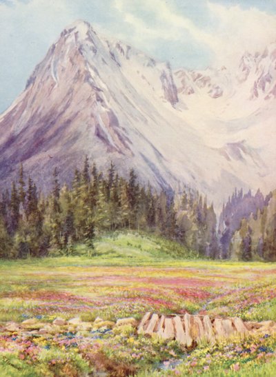 サレイナズの山塊の一部を背景に、5月末のシャンペの下層畑に咲くリンドウとプリムラ・ファリノーサ（カラーリトグラフ）。 作： George Jackson Flemwell