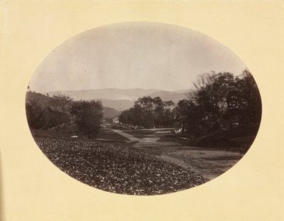 ウィリアムズタウンの道路、c。 1870。 作： George Kendall Warren