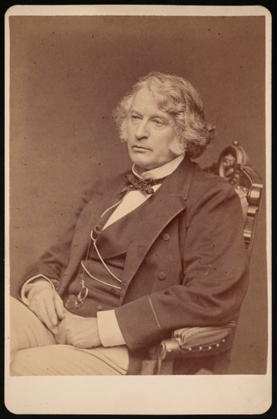 チャールズ・サムナーの肖像、1811～1874年、1874年以前。 作： George K Warren