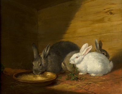 うさぎ 作： George Morland