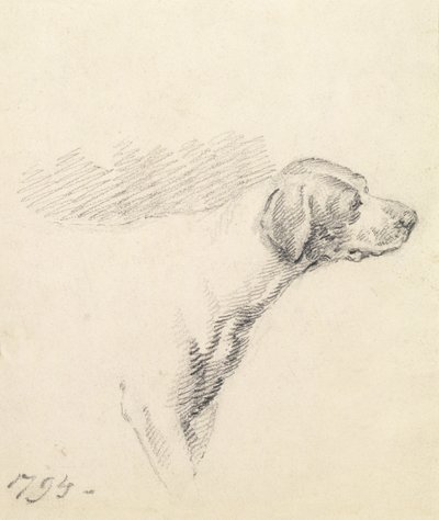 猟犬の研究、1794 作： George Morland