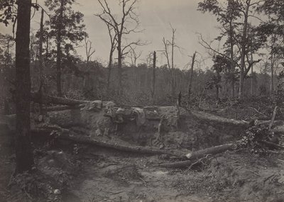 ニューホープ教会の戦場、ジョージア州第 2、1860 年代。 作： George N. Barnard