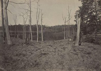 レサッカの戦場、ジョージア第 1、1860 年代。 作： George N. Barnard