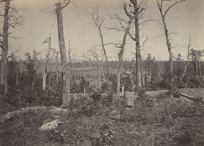 レサッカの戦場、ジョージア第 3、1860 年代。 作： George N. Barnard
