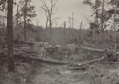 ジョージア州ニューホープ教会の戦場、第2、1865-1866。 作： George N. Barnard