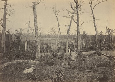 1864年3月3日、ジョージア州レサカの戦場（写真） 作： George N. Barnard