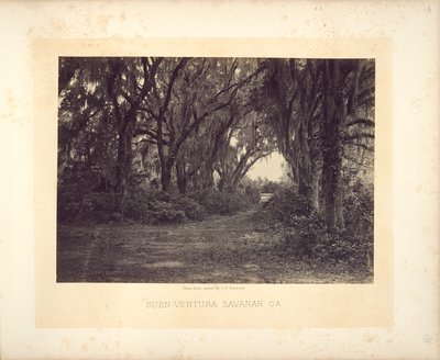  作： George N. Barnard
