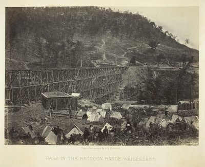 アライグマ山脈、ホワイトサイド No. 1、1864 を通過します。 作： George N. Barnard