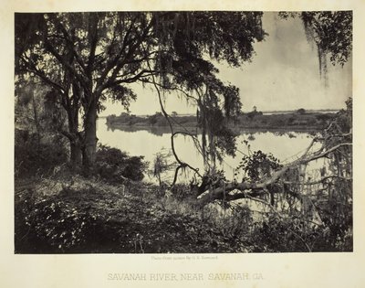 サバンナ川、ジョージア州サバンナ近郊、1866 年。 作： George N. Barnard
