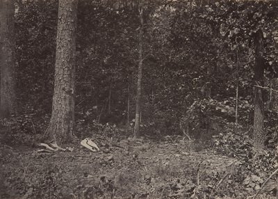 マクファーソン将軍の死の場面、1864 年または 1866 年。 作： George N. Barnard