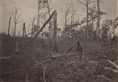 ヘル ホール ニュー ホープ教会、ジョージア州、1860 年代。 作： George N. Barnard