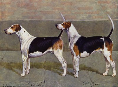 Puckeridge Foxhoundsの入植者と枢機卿 作： George Paice