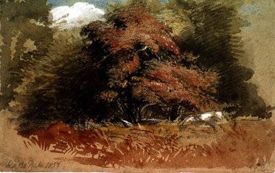 ノールパーク 作： George Richmond