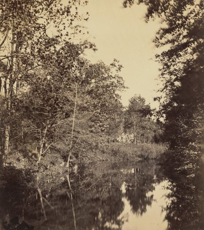 1863年、デル（写真） 作： ジョージ・ロックウッド・ガードナー
