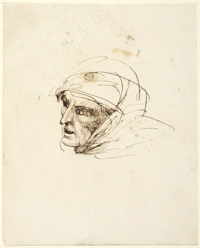  作： George Romney