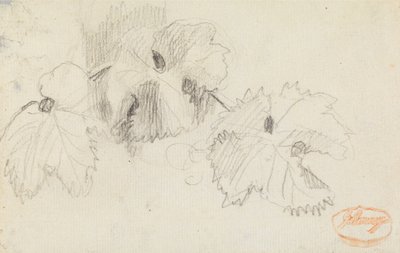 「葉の研究」1 作： George Romney
