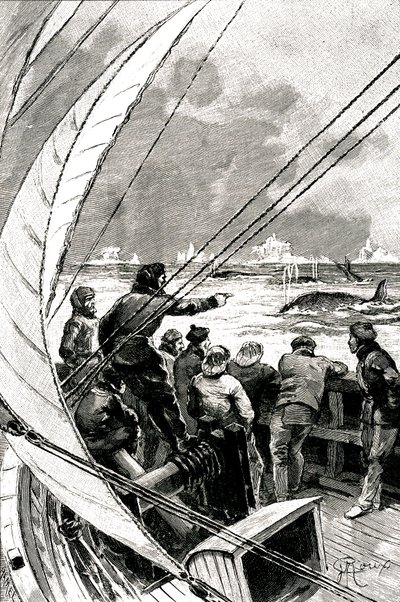 極地に向かう海上で、船（ヨット）の乗組員がクジラの群れを見ている。ジュール・ヴェルヌ(1828-1905)の小説「氷のスフィンクス」の挿絵。 作： George Roux