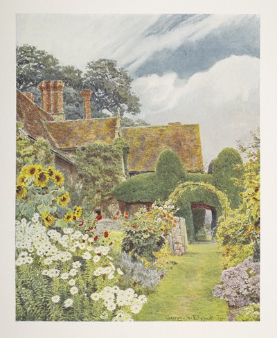 クリーブ プライア、ヒマワリ、「Some English Gardens」のイラスト、George S. Jekzel Elgood & Gertrude Jekyll 作 作： George Samuel Elgood
